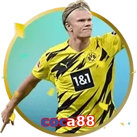 coca88