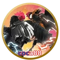 coca88