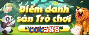 coca88