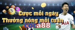 coca88